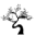 Bonanza Satrangi logo