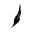 Scents n Stories logo